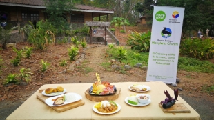 Imagen Gastronomía Manglares Churute